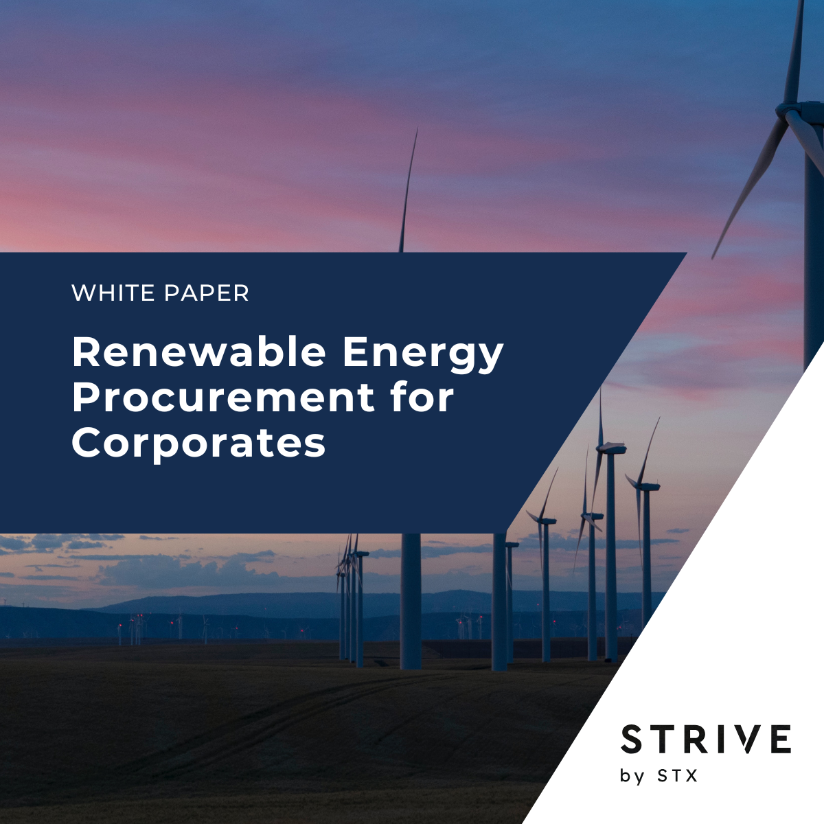 renewable energy procurement white paper