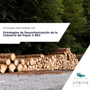 Estrategias de descarbonización de la industria del papel: I-REC