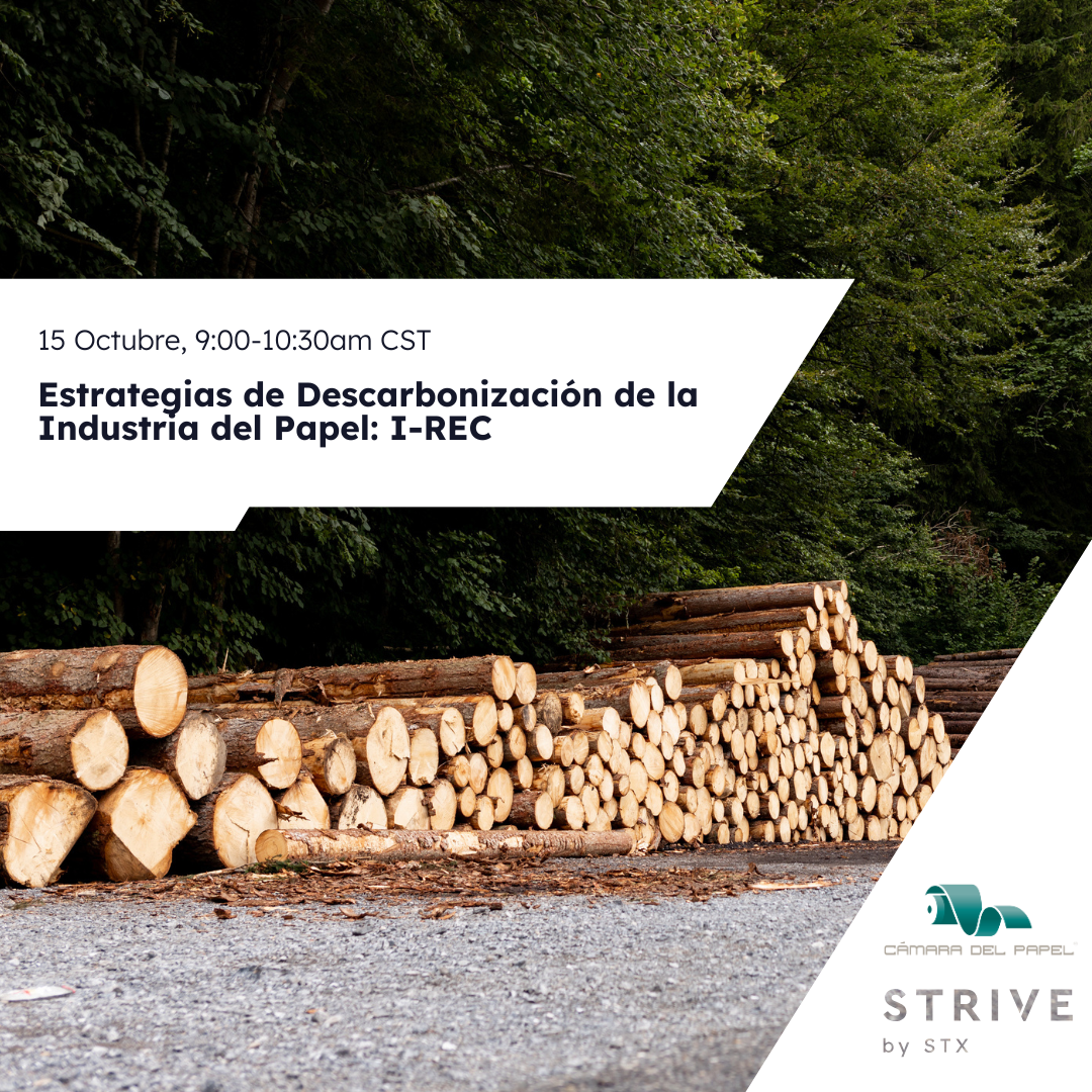 estategias de descarbonizacion de la industria del papel