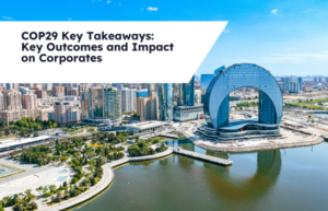COP29 KEY TAKEAWAYS: Report on the Major Outcomes and Business Implications
