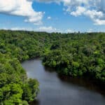 voluntary emission reductions